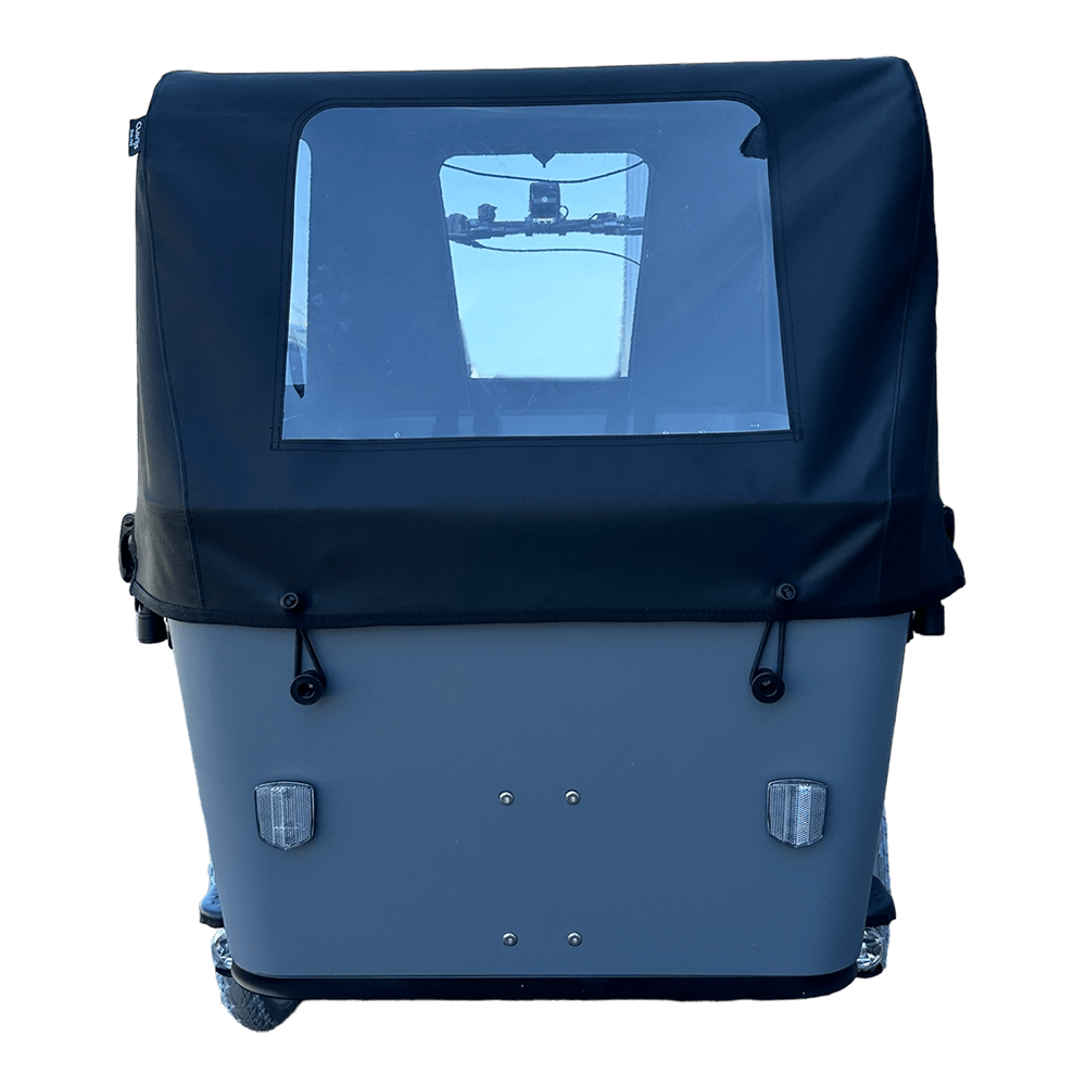 Vogue Regentent carry3-model2024 4