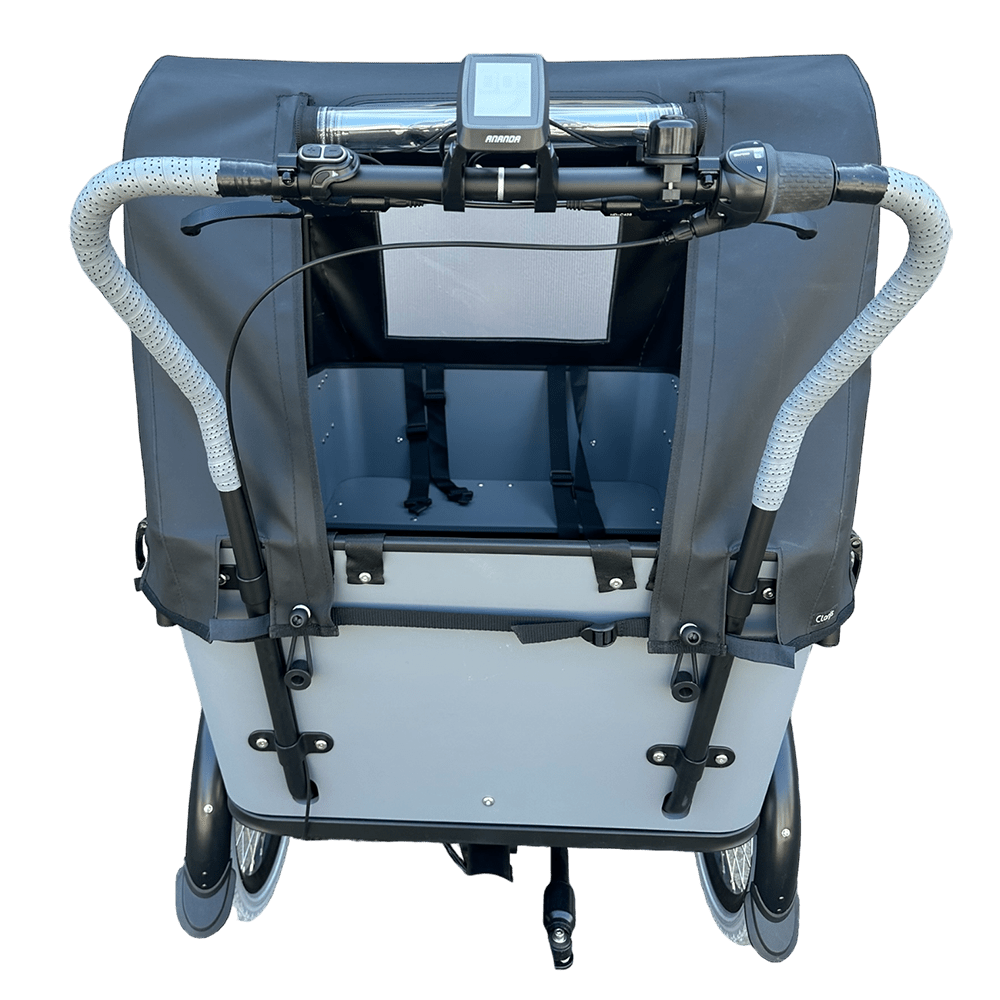 Vogue Regentent carry3-model2024 7